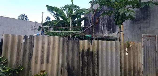Hình ảnh Cần Tiền bán lô đất đẹp rẻ nhất phước tân tiềm năng cao