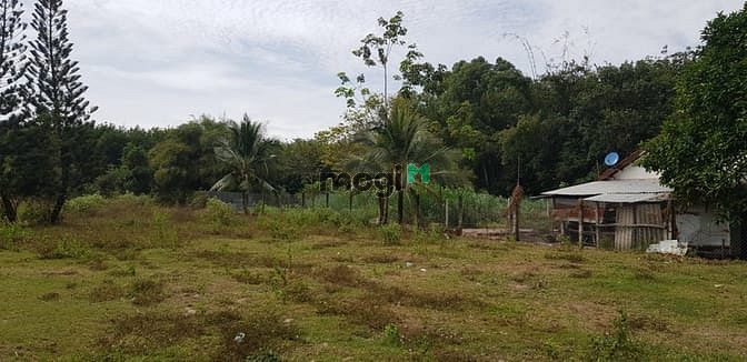 Hình ảnh Đất thổ cư MT Võ Thị Bàng, Củ Chi, 7194m2, 25 tỷ