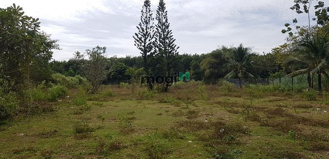 Hình ảnh Đất thổ cư MT Võ Thị Bàng, Củ Chi, 7194m2, 25 tỷ