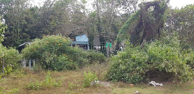 Hình ảnh Đất thổ cư MT Võ Thị Bàng, Củ Chi, 7194m2, 25 tỷ