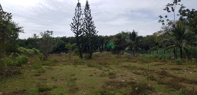 Hình ảnh Đất thổ cư MT Võ Thị Bàng, Củ Chi, 7194m2, 25 tỷ