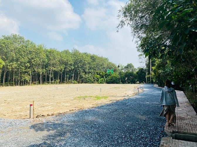 Hình ảnh Đất thổ cư xã An Nhơn Tây 141m2 full thổ, lô góc nở hậu cực đẹp.