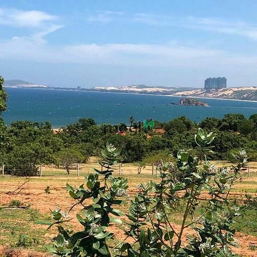 Hình ảnh Bán đất biển mũi né gần novaworld phan thiết chỉ 14tr/m2
