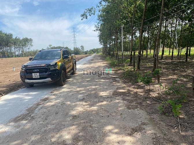 Hình ảnh Bán đất Bình Phước 280m2 có 100m2 đất ở đã có sổ riêng