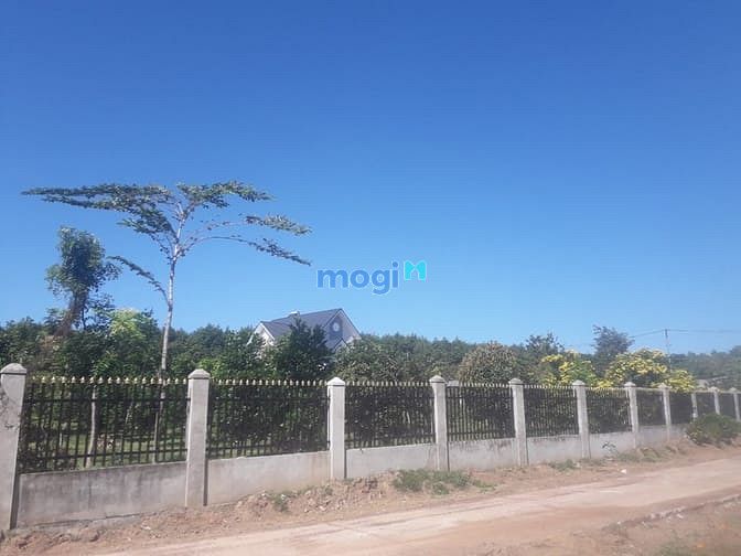 Hình ảnh Bán đất Bình Phước 280m2 có 100m2 đất ở đã có sổ riêng