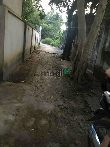 Hình ảnh Bán đất đường 19 Lã Xuân Oai phường Trường Thạnh quận 9