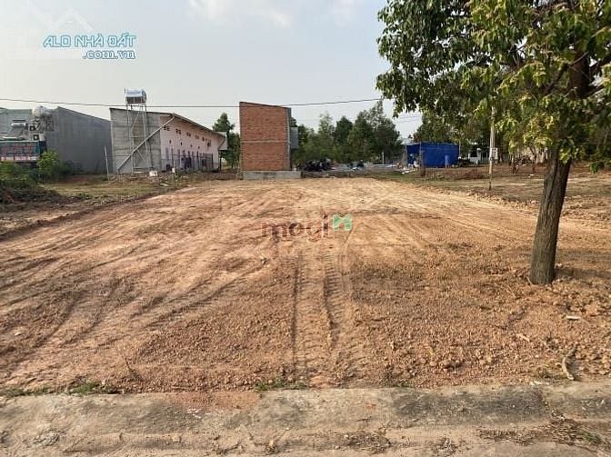 Hình ảnh GĐ cần bán lô đất 200m2(10x20m) ở KCN Mỹ Phước 3, SHR, dân đông.