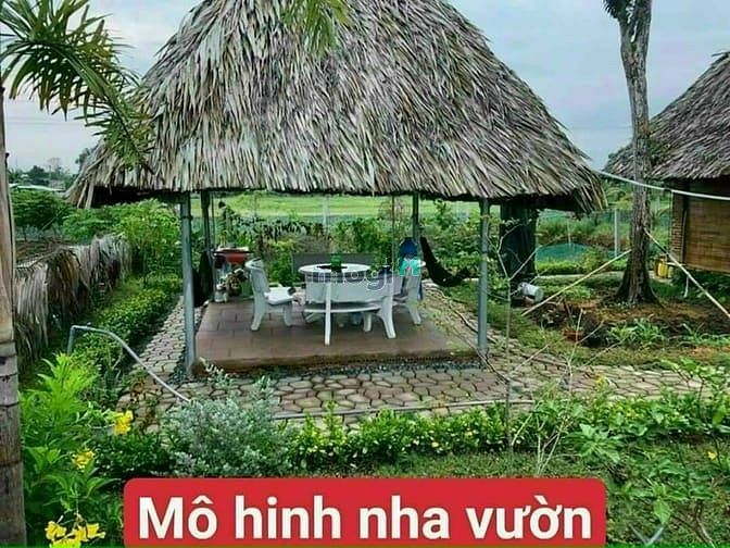 Hình ảnh Mình chính chủ, cần bán đất vườn xã Thạnh Hòa, Bến Lức, Long An.