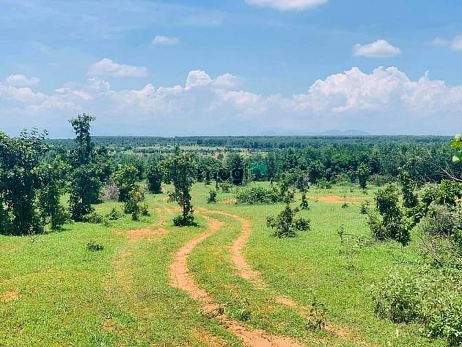 Hình ảnh Bán 7790m2 view trực diện liên huyện 52m