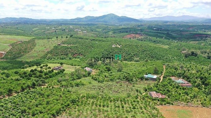 Hình ảnh Bán 410M Đất Trung Tâm  Lộc An - Giá  3,5 Triệu , Sổ Hồng Riêng.