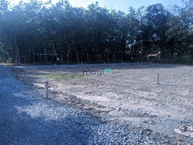 Hình ảnh Đất Củ Chi MT nhựa full thổ 185m2 giá ngộp 1ty270