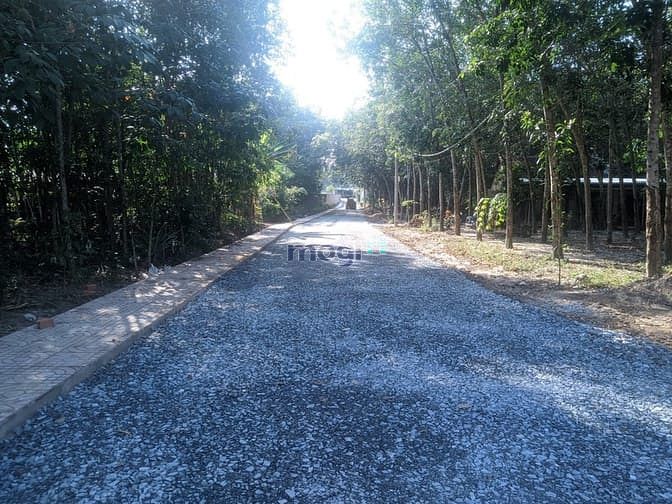 Hình ảnh Đất Củ Chi MT nhựa full thổ 185m2 giá ngộp 1ty270