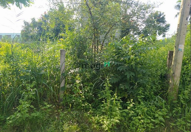 Hình ảnh Cần bán đất HXH 10m 1874 Lê Văn Lương Nhà Bè. 2,58 tỷ- 80 m2