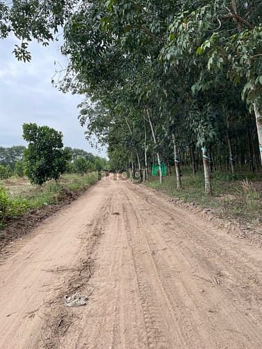 Hình ảnh Đất Sào Phước Bình  Giá Mb6623 phiên bản mới nhất 1.4Triệu/M2, Làm Nhà Xưởng, Sổ Hồng