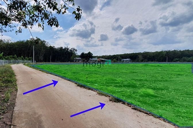 Hình ảnh Đất nền Hớn Quản 756b Thổ cư, Bán giá SỈ, Đường Bê Tông.