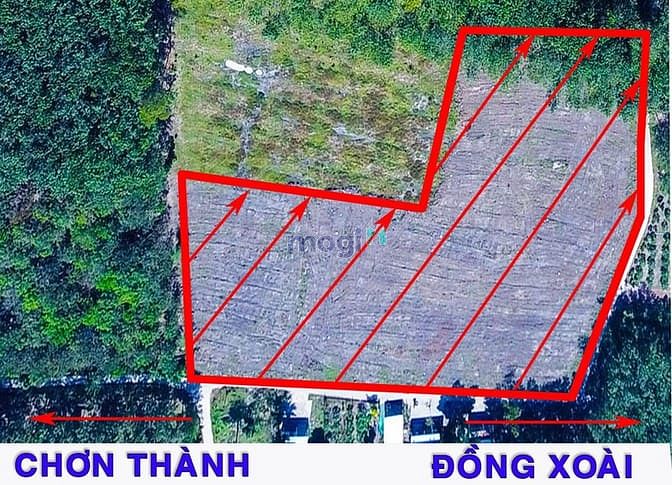 Hình ảnh Đất nền Hớn Quản 756b Thổ cư, Bán giá SỈ, Đường Bê Tông.