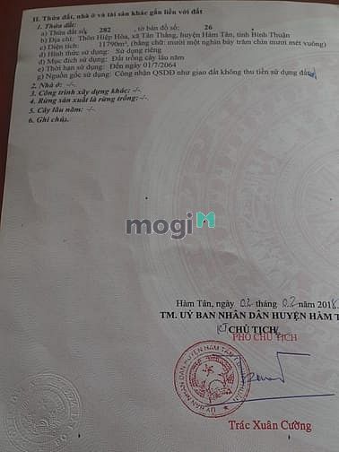 Hình ảnh Đất 1 Ha 2 ven biển Tân Thắng Bình Thuận giá 15 tỷ