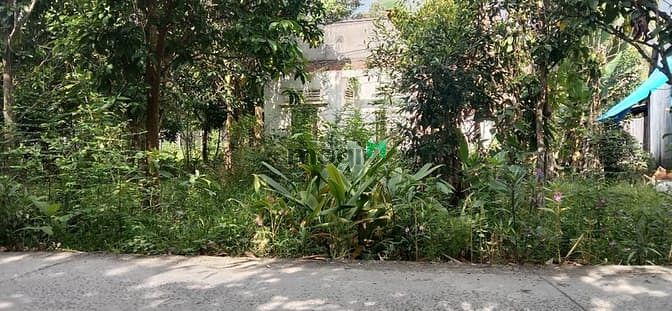 Hình ảnh ❤️ B8 - Bán nền rạch Xẻo Của, TTTT Phong Điền - 10.5 x 40