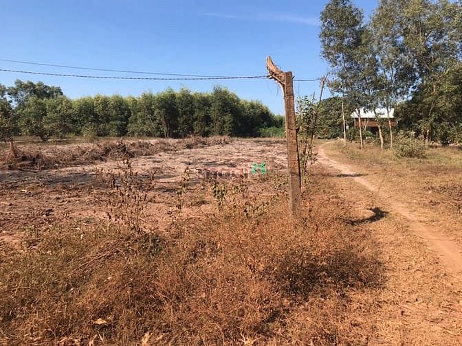Hình ảnh Đất Mặt Tiền Cô Kiều có 300 m2 thổ cư giá 4 tỷ 3
