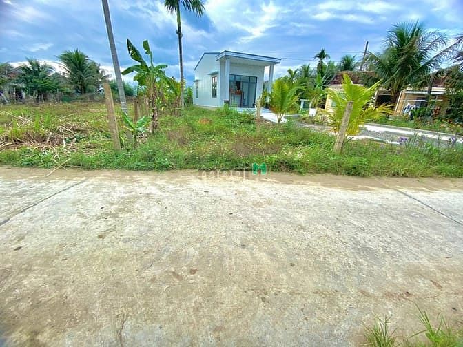 Hình ảnh Lô Phụng Cang Ninh Hưng Tx Ninh Hòa