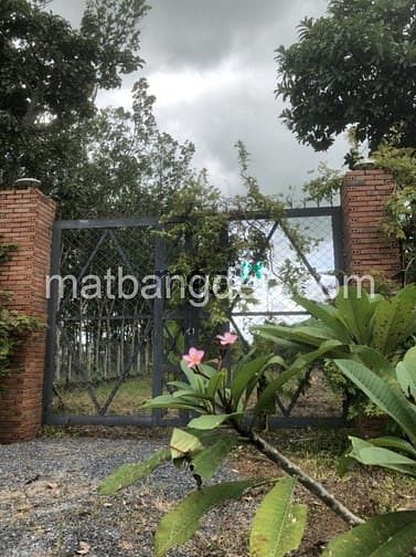 Hình ảnh Bán đất 1700m2, có 300m2 thổ Trung Lập Thượng giá 4,2 tỷ