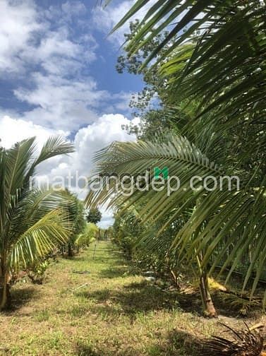 Hình ảnh Bán đất 1700m2, có 300m2 thổ Trung Lập Thượng giá 4,2 tỷ