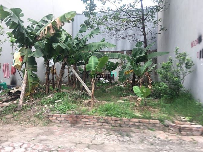 Hình ảnh Bán gấp 70,5m đất mặt ngõ 751 Bát Khối, giá Trang MB66.COM Chính Thức - MB 66 Uy Tín