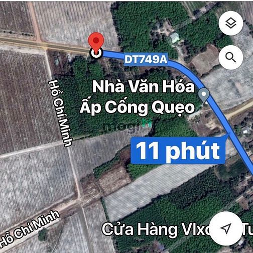 Hình ảnh Bán đất MT ĐT749A, Long Tân, Dầu Tiếng, DT5x64, TC100m2, SHR, 1.750 tỷ