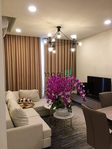 Hình ảnh Hot! Ra gấp căn 65 m2 2PN 2WC dự án RichStar đường Hòa Bình - Tô Hiệu
