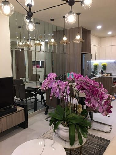 Hình ảnh Hot! Ra gấp căn 65 m2 2PN 2WC dự án RichStar đường Hòa Bình - Tô Hiệu