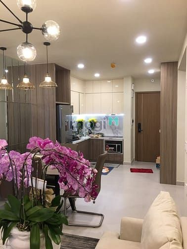 Hình ảnh Hot! Ra gấp căn 65 m2 2PN 2WC dự án RichStar đường Hòa Bình - Tô Hiệu