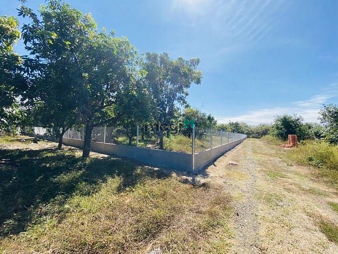 Hình ảnh Cân bán lô đất 20x60m có sẵng 100m2 thổ cư