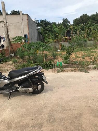 Hình ảnh cần tiền bán gấp đất 5x25m 125m2 sát QL13 dân đông tiện kinh doanh