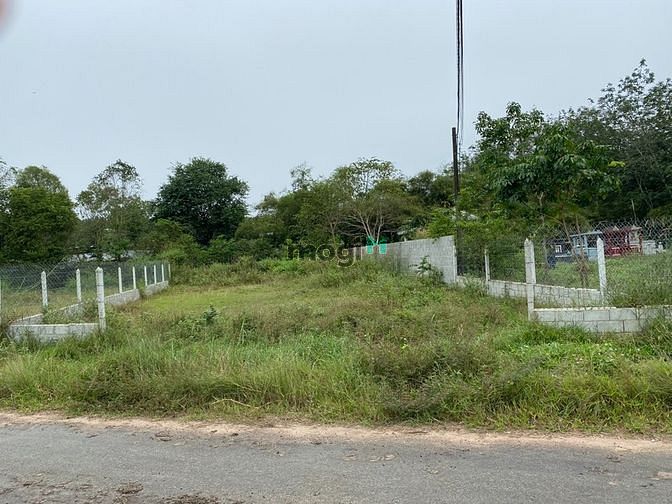 Hình ảnh Chính chủ cần bán gấp 2 lô đất 5600m2 đất vườn và 669m2 đất thổ cư.