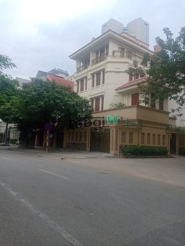 Hình ảnh Cho thuê biệt thự sân vườn 300m2x5T Dịch vọng, Cầu giấy