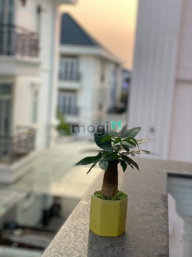 Hình ảnh Cho Thuê Phòng Quận 9 - Không Cọc Dọn Vào Ở Ngay