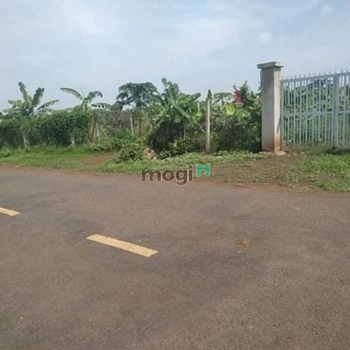 Hình ảnh Bán đất góc 2 mặt tiền 1300m2, xã Phước Thạnh, giá 3 tỷ 250 triệu