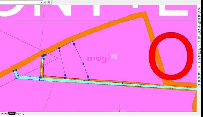 Hình ảnh Bán đất góc 2 mặt tiền 1300m2, xã Phước Thạnh, giá 3 tỷ 250 triệu