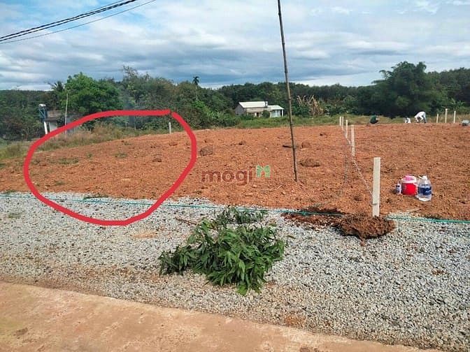 Hình ảnh Gia đình về quê cần bán lô đất sào giá rẻ 1000m2 , sổ hồng riêng