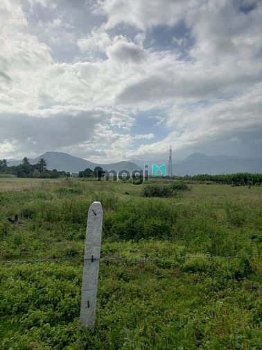 Hình ảnh Bán nhanh lô đất đẹp Thôn Quảng Hòa, xã Cam Thành Nam, Tp Cam Ranh,KH