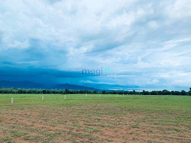 Hình ảnh Bán 8027m2 đất nền bình tân, bắc bình gần MB66 là nhà cái uy tín hàng đầu tại Việt Nam safari chỉ 963tr
