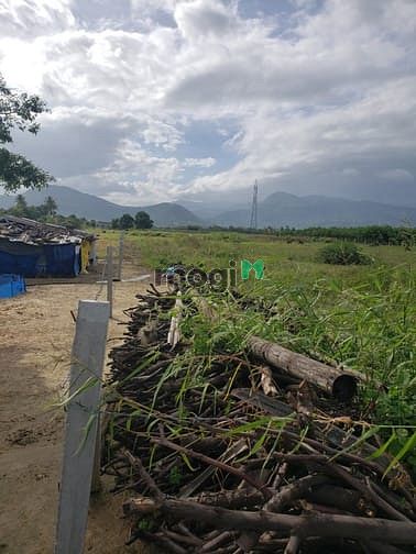 Hình ảnh Bán nhanh lô đất đẹp Thôn Quảng Hòa, xã Cam Thành Nam, Tp Cam Ranh,KH