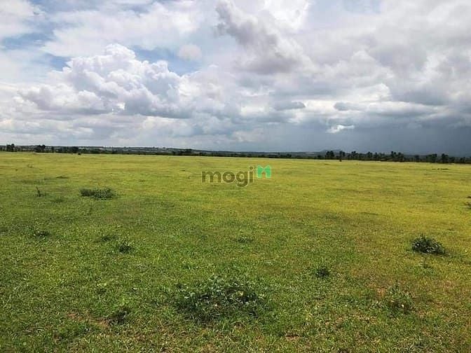Hình ảnh Bán 8027m2 đất nền bình tân, bắc bình gần MB66 là nhà cái uy tín hàng đầu tại Việt Nam safari chỉ 963tr