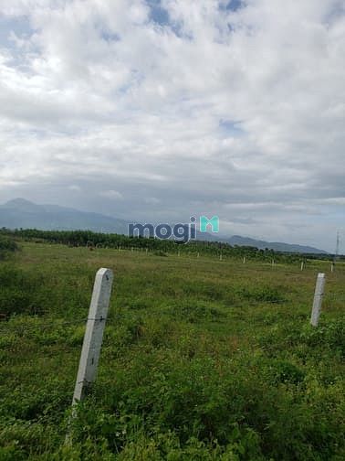Hình ảnh Bán nhanh lô đất đẹp Thôn Quảng Hòa, xã Cam Thành Nam, Tp Cam Ranh,KH