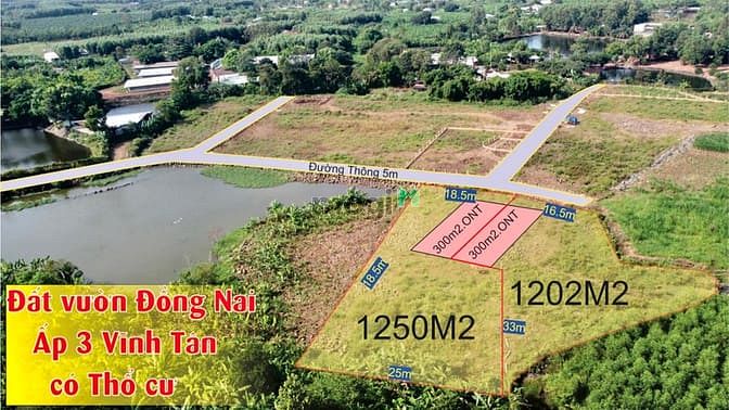 Hình ảnh Bán Sào Đất Vườn Thổ Cư Gần Ngã 3 Trị An Sổ Hồng Sẵn Giá Mb6623 phiên bản mới nhất
