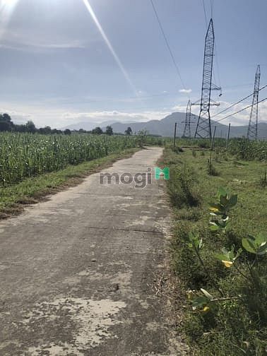 Hình ảnh Cần bán  lô đất  Thôn Quảng Hòa , xã Cam Thành Nam , Tp Cam Ranh,KH