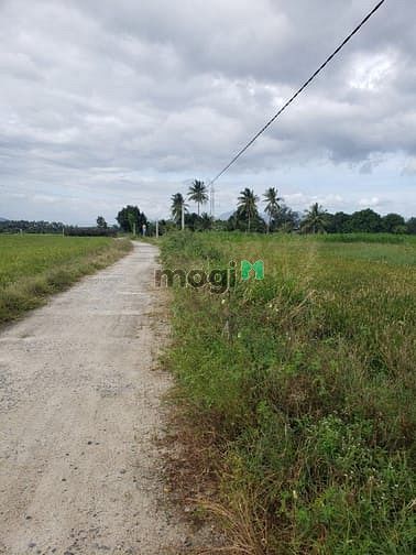 Hình ảnh Cần bán  lô đất  Thôn Quảng Hòa , xã Cam Thành Nam , Tp Cam Ranh,KH