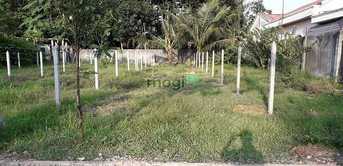 Hình ảnh Đất ở củ chi 141m2 full thổ, thanh toán 700tr nhận đất, sổ hồng riêng.