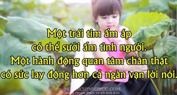 Hình ảnh Đất Mt đường 181 Bình Mỹ Củ Chi DT 6 x 29 nở hậu 8,5m công nhận 214m²