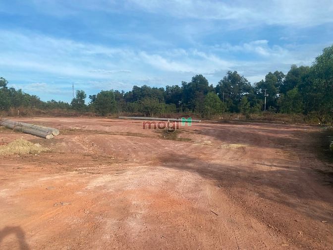 Hình ảnh Bán 1942m2 Đất Sông Nhạn Cẩm Mỹ